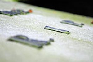 Crémation ou inhumation : que choisir à Bruxelles? AIC HEIRBRANT VBC