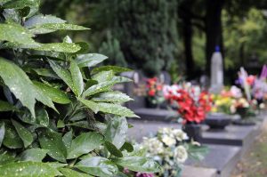 Laatste wilsbeschikking AIC HEIRBRANT VBC
